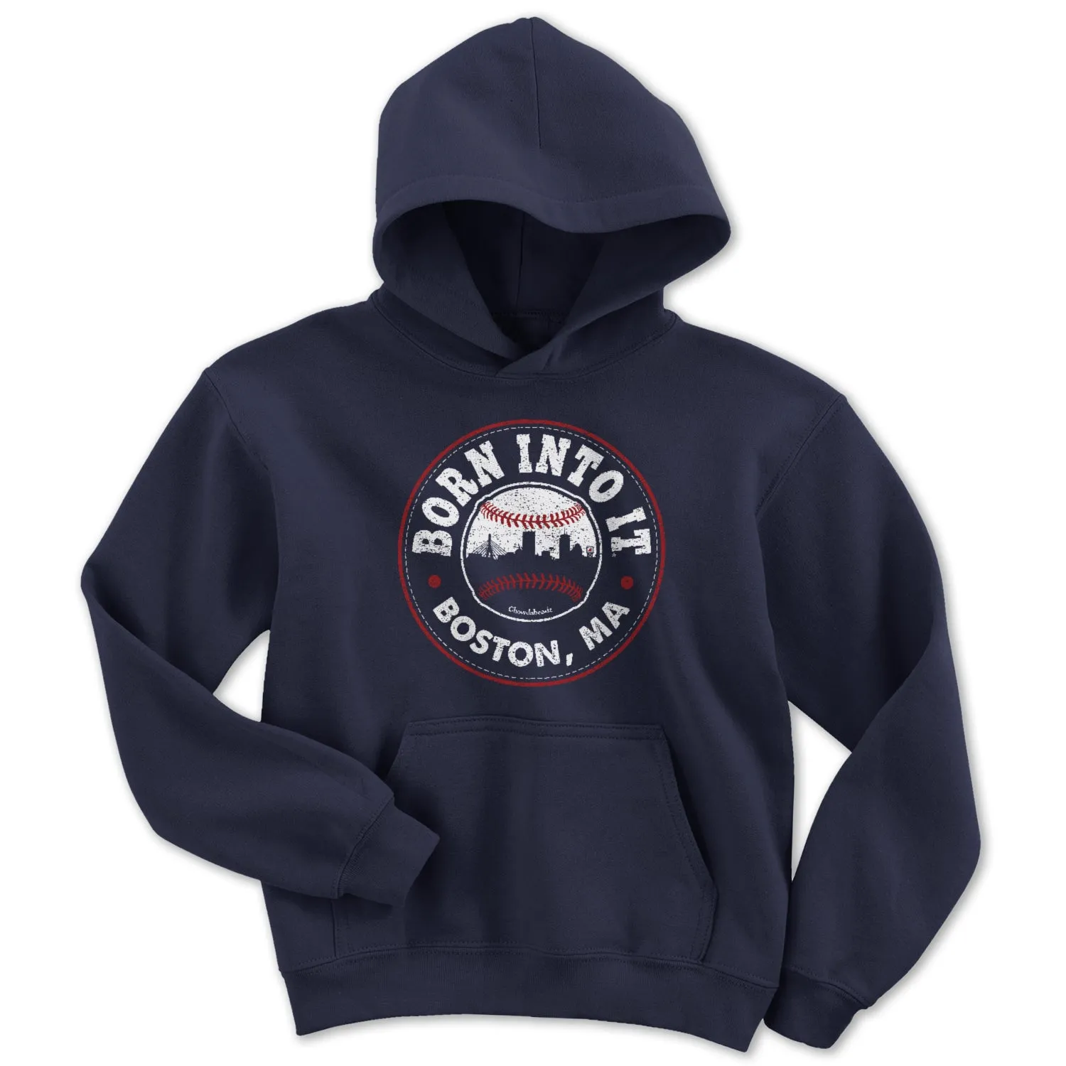 Born Into It Baseball Youth Hoodie