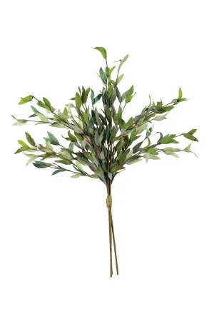 Botanica #2397 (Pack of 6)