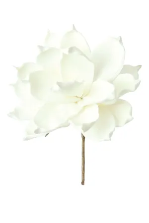 Botanica #36 (Pack of 6)