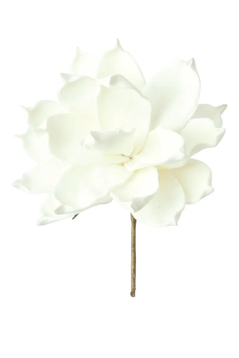Botanica #36 (Pack of 6)