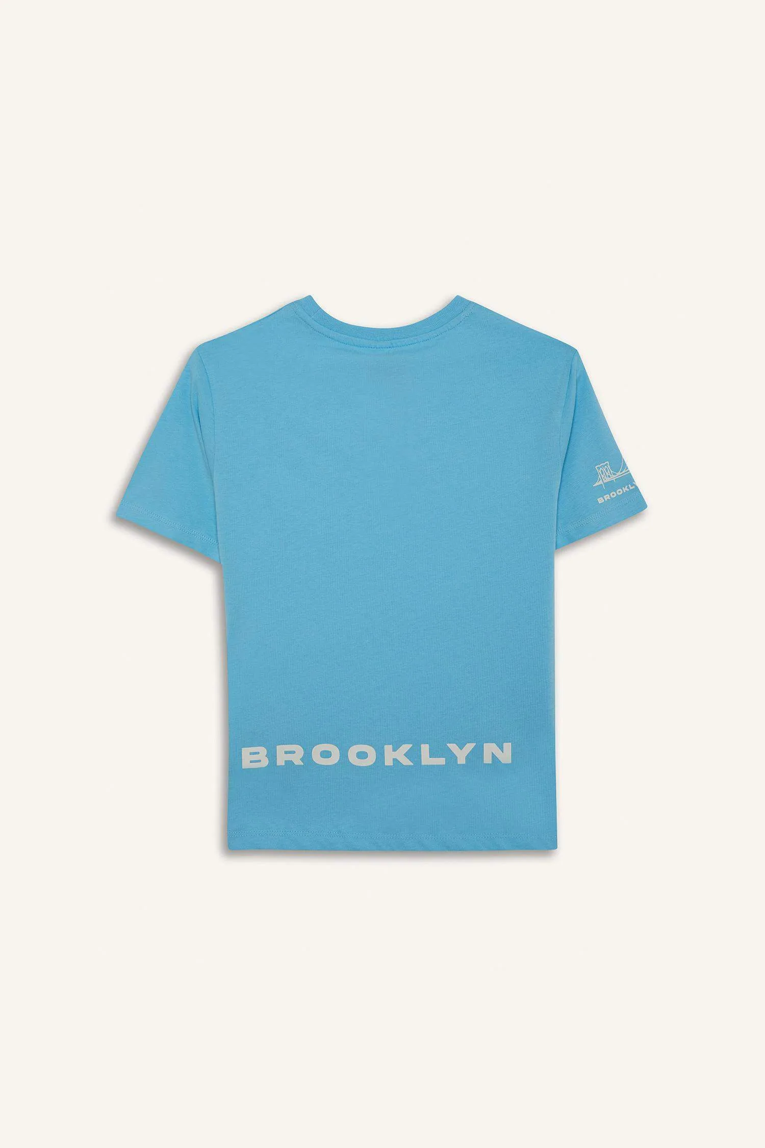 Boy Crew Neck Printed Short Sleeve T-Shirt