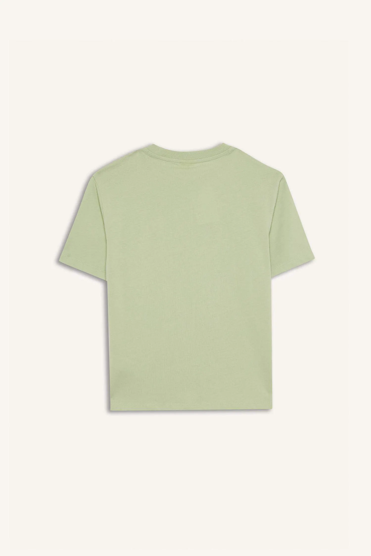 Boy New Regular Fit Crew Neck Anime Printed T-Shirt