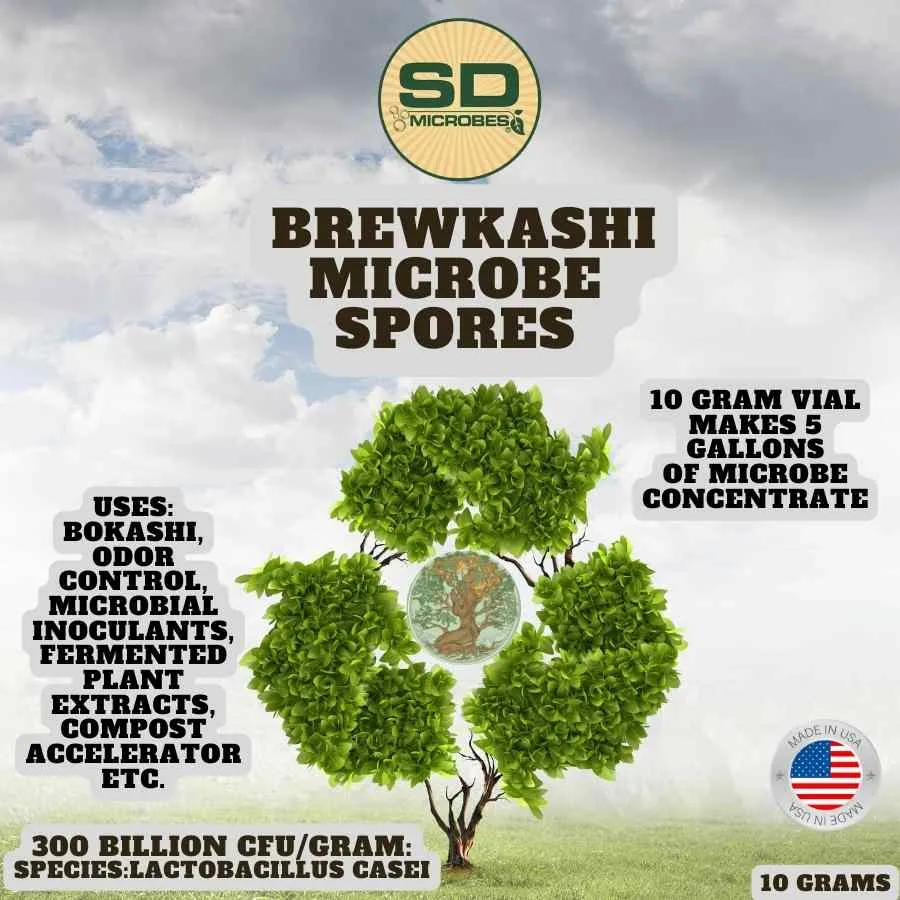 BrewKashi Spore: Lactobacillus Casei