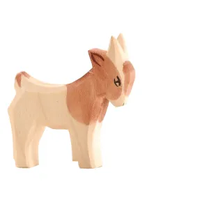 Goat kid standing