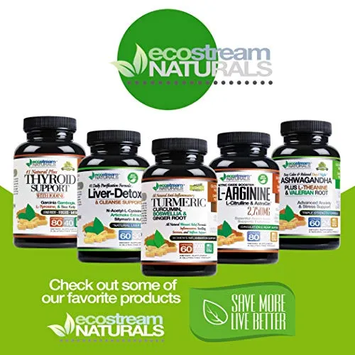 Large 1650 mg - Turmeric Curcumin (95% Standardized Curcuminoids) with Ginger Root and BioPerine Black Pepper Extract - for Superior Absorption and Tumeric Bio-Availability – Anti-Inflammatory Support
