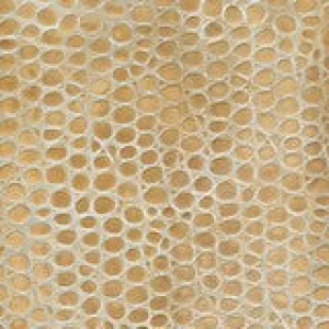Madagascar - Dulce de Leche