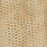Madagascar - Dulce de Leche