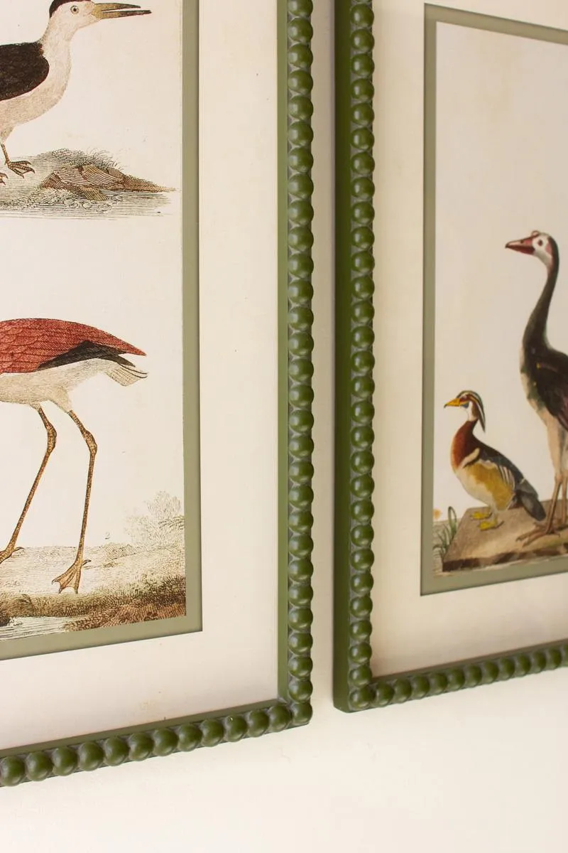 Set of 2 Bird Prints under Glass