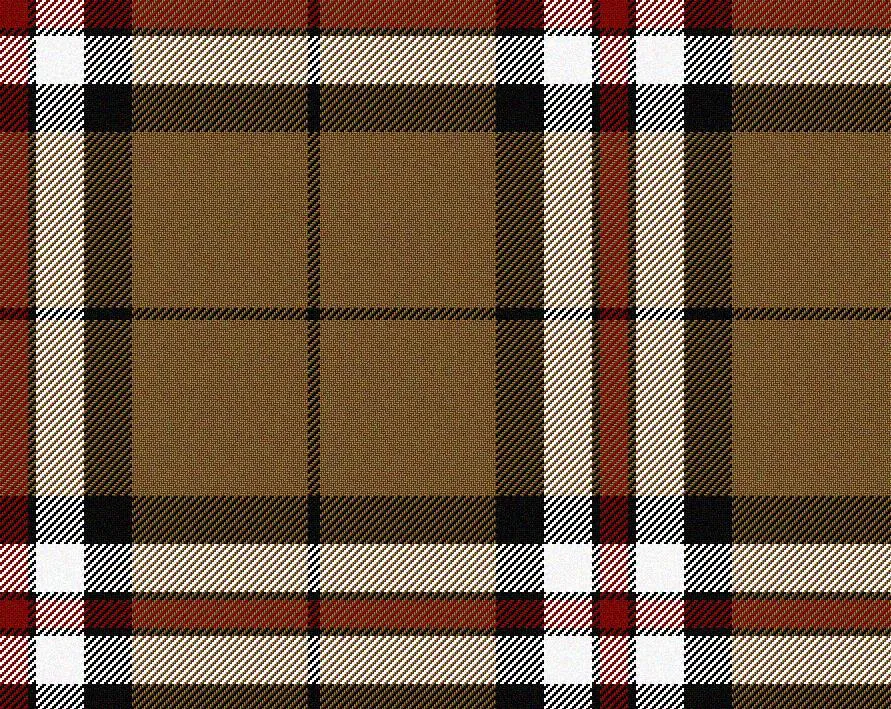 Thomson Camel Medium Weight 11oz Tartan Cloth